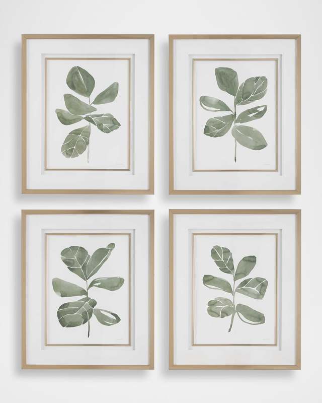 "Fiddle Head Leaf" Framed Botanical Prints by Haley Knighten, Set of 4